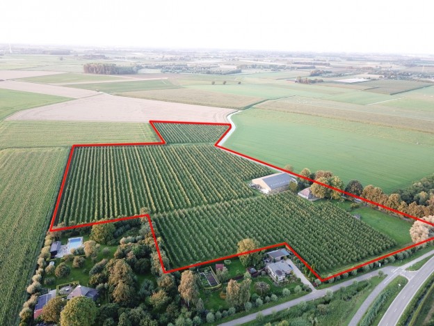 Te verstrekken hypothecaire lening op een fruitteeltbedrijf met woonboerderij, bedrijfshal, koelcellen en cultuurgrond met een exitfee van € 6.750,- te Ophemert Te verstrekken hypothecaire lening op een fruitteeltbedrijf met woonboerderij, bedrijfshal, koelcellen en cultuurgrond met een exitfee van € 6.750,- te Ophemert